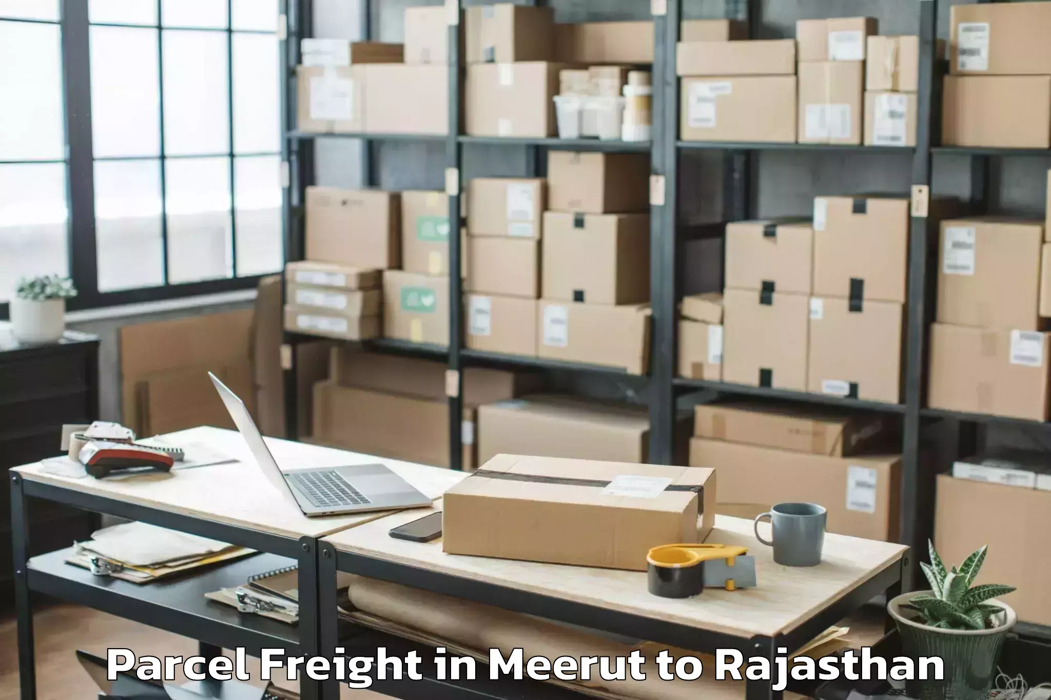 Hassle-Free Meerut to Pali Parcel Freight